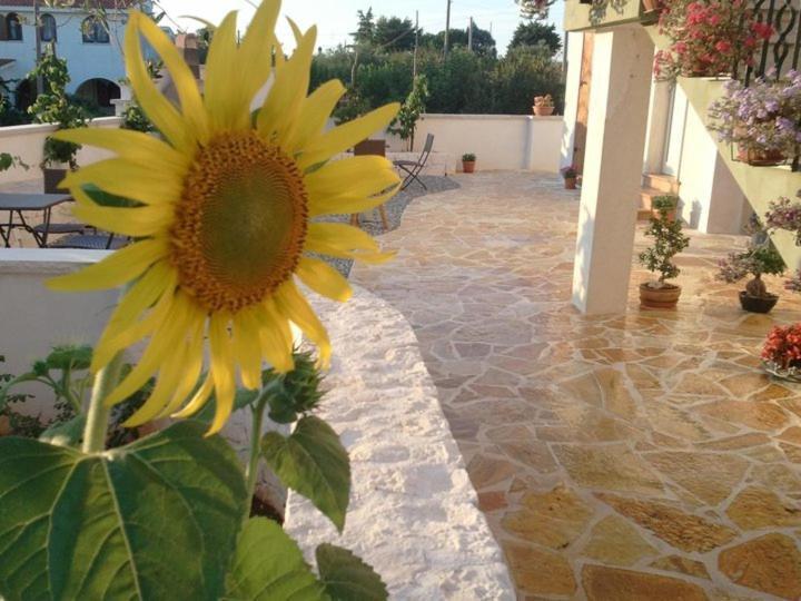 Art Rooms Joyful People Alberobello Exterior photo